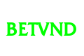 betvndg.com favicon